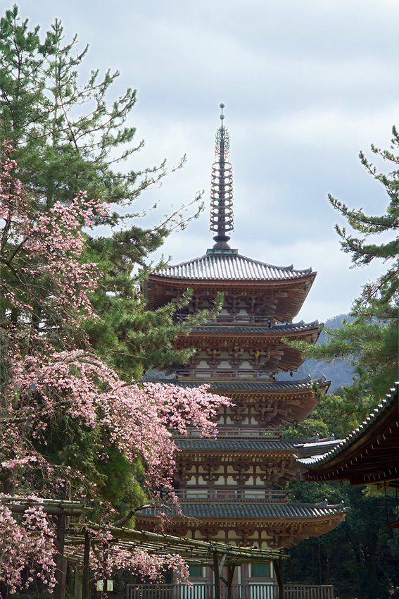 Daigo-ji Temple