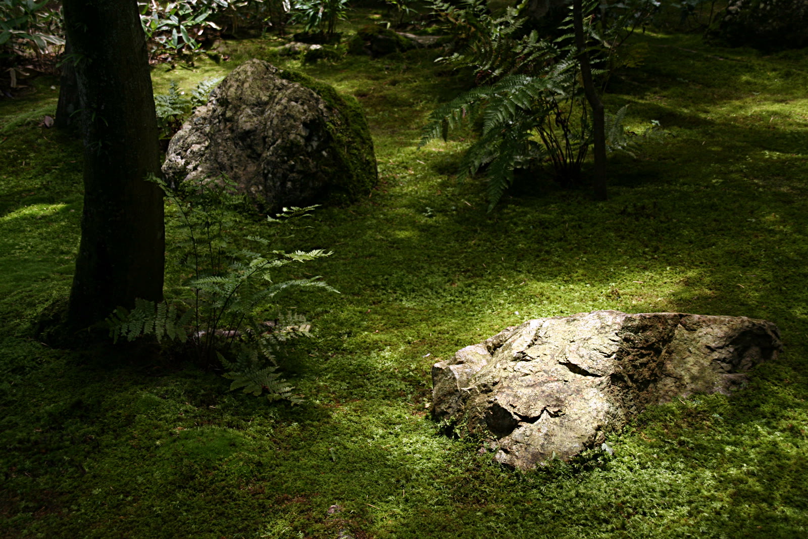 Daitoku-ji Temple