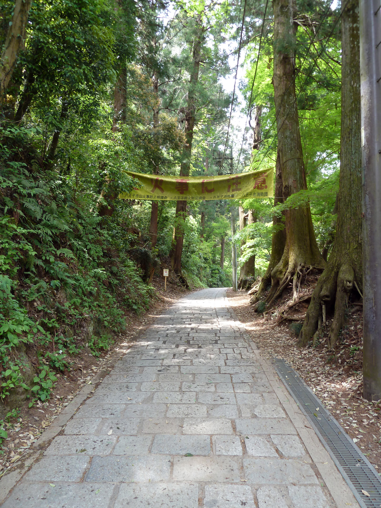 Mount Takao
