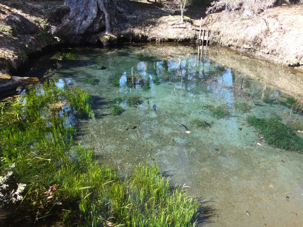 Oshino Hakkai