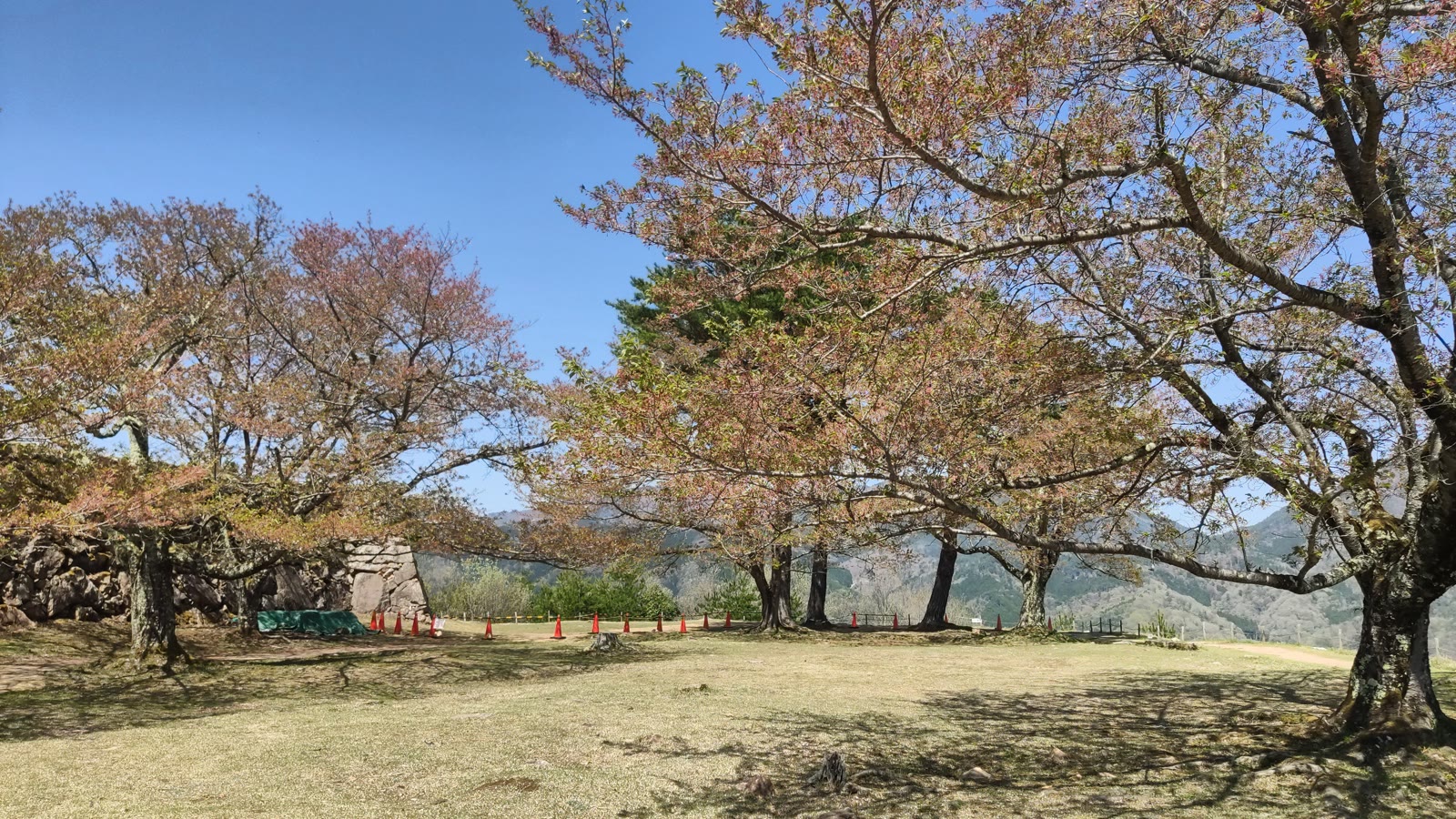 Takeda Castle Ruins